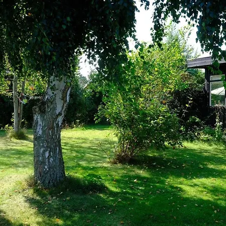 Cozy Summer With Orangery Close To Heatherhill And Holiday home