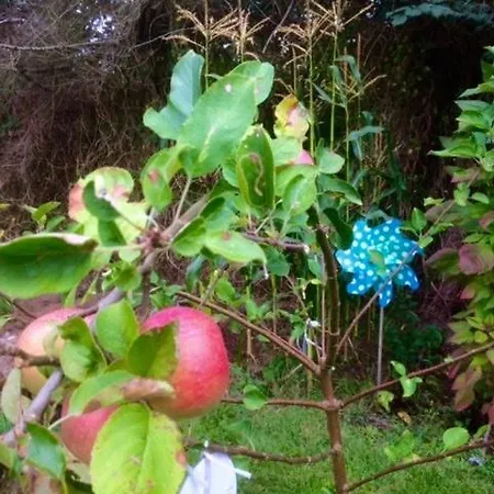 Cozy Summer With Orangery Close To Heatherhill And Semesterbostad *