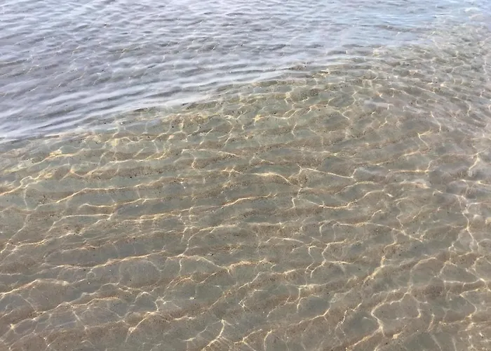 Cozy Summer With Orangery Close To Heatherhill And Feriehus *