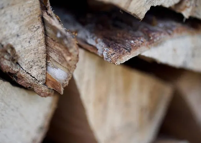 Cozy Summer With Orangery Close To Heatherhill And Vejby